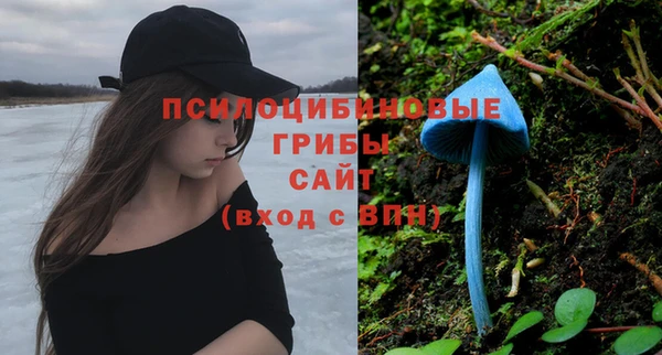 каннабис Михайловка